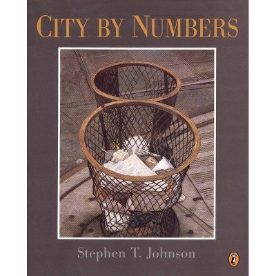 City by Numbers - (Paperback)