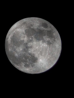 Guest review image 3 of 4, zoom in