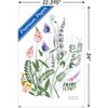 Trends International Botanical Collection - Wild Flowers Unframed Wall Poster Prints - 3 of 4