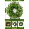 24 Inch Real Pine Wreath for Front Door Home Decor Large Artificial Green Wreath 70 Norfolk Needles Indoor Outdoor Wall Porch Farmhouse - 2 of 4