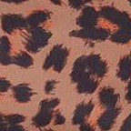 Brown Leopard Print