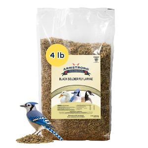 Armstrong Wild Bird Food Black Soldier Fly Larvae, 4lbs - 1 of 4