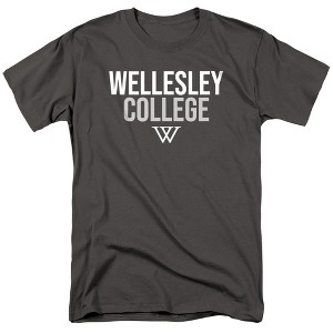 Men's Wellesley College Official Stacked T-Shirt - 1 of 4