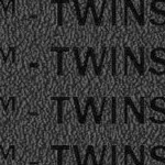 minnesota twins