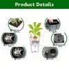 NAYSAYE Planter Square Planter with Automatic Watering System Faux Rattan Design for Indoor Outdoor Garden, Brown, 11.02"*11.02"*22.6" - 4 of 4