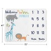 Sweet Jojo Designs Boy, Girl, Unisex/Gender Neutral Baby Milestone Blanket Mod Jungle Blue, Orange and Grey - 4 of 4