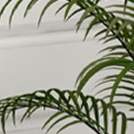 with casters, without back plate, 08 curved edge with hook