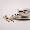 Ozarke Alpha Golden Black Plates Set - Multicolor - 4 of 4
