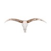 Storied Home Resin Deer Skull with Horns : Modern Wall Sculpture, Indoor White Decorative Object - 2 of 4