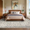 coucheta Multi-size Washable Vintage Boho Area Rug for Living Room, Distressed Large Soft Non-Slip Oriental Throw Carpet, for Bedroom, Dining Room - 2 of 4