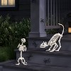 21" Cat Skeleton Halloween Decorative Prop - Hyde and EEK! Boutique™: Indoor/Outdoor Eerie Decor - 2 of 3