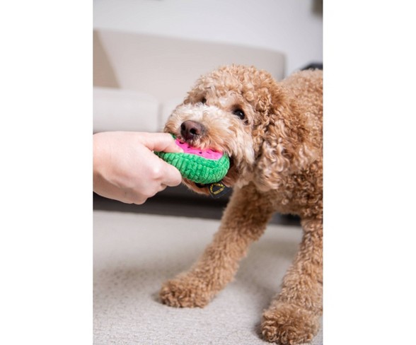 TrustyPup Tough &#38; Fun Watermelon Dog Toy