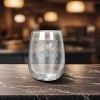 NCAA Arizona Wildcats The Vino Stemless 17oz Wine Glass - Clear - 2 of 2