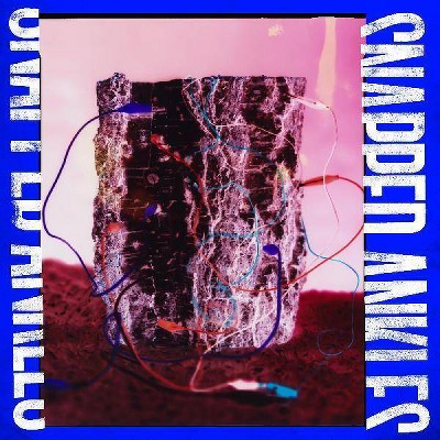 Snapped Ankles - Forest Of Your Problems (CD)