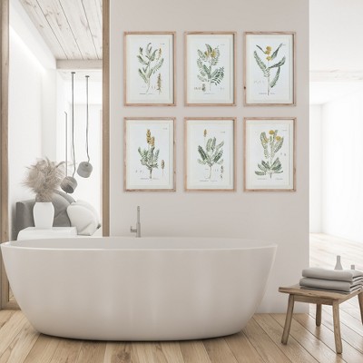 Mid-Summer Blooms Prints with Whitewashed Wood Frames, Set of 6