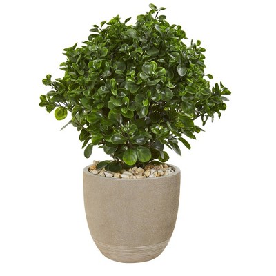 30" Peperomia Artifical Plant in Sand Stone Planter - Nearly Natural