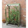 Tierra Garden Tomato Crop Booster with Cover - 2 of 4