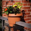 Bloem Classic Resin Balcony Rail Box Planter with Metal Hanging Bracket - 2 of 4