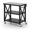 Captiva Designs 1pc Weather-Resistant Patio Double-Shelf Movable Rectangular Steel Cart Table - 3 of 4