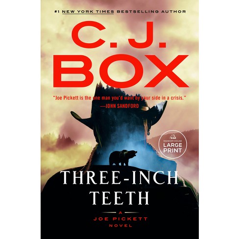 Storm Watch: 23 (A Joe Pickett Novel) : Box, C. J.: : Books