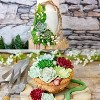 JDICTION 2PCS Succulent & Fern Leaf Silicone Mold Set - 3D Polymer Clay Molds for Cake Decorating, Cupcakes, Chocolate & Sugarcraft - 4 of 4