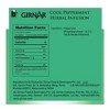 Girnar Cool Peppermint Herbal Infusion - 4 of 4