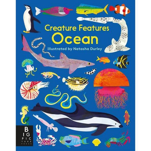 Creature Features: Ocean - By Big Picture Press (board Book) : Target