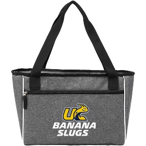 University of CaliforniaSanta Cruz Soft Sided Insulated Tote