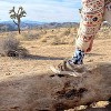 Camouflage Panda Socks (Men's Sizes Adult Large) from the Sock Panda - 2 of 4
