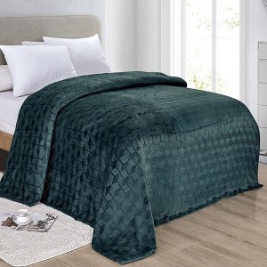 Amrani Bedcover Embossed Blanket Soft Premium Microplush Green by Plazatex - 1 of 3