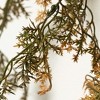 72" Sullivans Artificial Golden Weeping Cypress Fall Garland, Indoor Fall Decor - 2 of 3