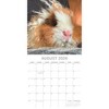 2026 Square Wall Calendar, Guinea Pigs, 16-Month Animals Theme with 180 Reminder Stickers (12x12 In) - 3 of 4