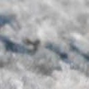 charcoal, light gray, silver gray, gray, navy, blue