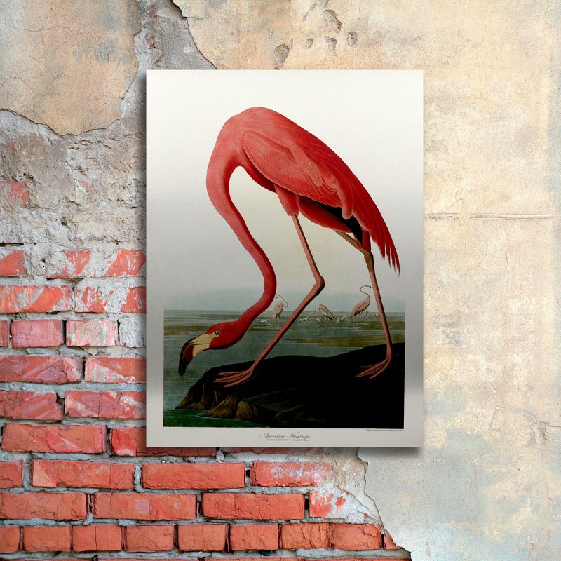 Trademark Fine Art - John James Audubon 'American Flamingo' Floating Brushed Aluminum Art, 3 of 5