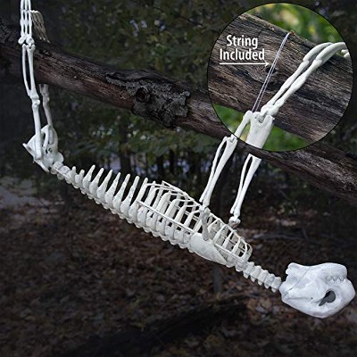 Halloween Giant Sloth Animal Skeleton (2Ft Long) Easy-to-Hang Limb Straps- Weather Resistant Yard/Tree Decoration w Movable Joints, Indoor/Outdoor Use