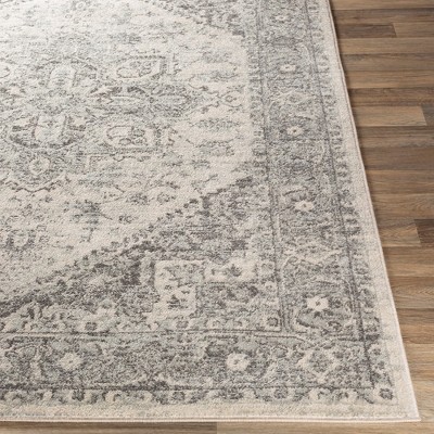 Chartres Light Gray Hand-Knotted Synthetic Area Rug