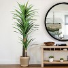 MaseiKar Artificial Dracaena Tree 6ft-Tall Fake Plant with Black Planter-Faux Plants Indoor Tall Housewarming Gift, Tropical Yucca Silk Tree for Home - 2 of 4