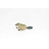 Collectible Wildlife Gifts | Beaver, Semiaquatic Rodents, Castor, Museum Quality, Rubber Animal, Hand Painted,  Toy Model, Gift,   3"  CH101 BB87 - 4 of 4