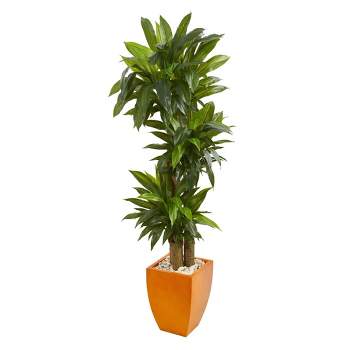 Nearly Natural 5.5-ft Dracaena Plant in Orange Square Planter (Real Touch)