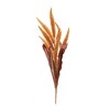 Harvest Foxtail Spray (Set of 2) - 3 of 3