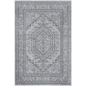 Adirondack ADR108 Machine Made Indoor Rug - Safavieh - 1 of 4