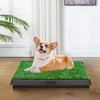 FURNIinspire Pet Crates and Houses,  Indoor and Outdoor Pet Loo with Grass, Toilet Substitute, Suitable Size for Many Dogs, Green, 24.81"*20.08"*2.36" - 2 of 4