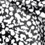 black white abstract