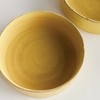 Plum & Post Studio Decorative Low Bowls Set of 2 - 2 of 4