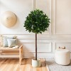 Syemin Artificial Plants Artificial Topiary Bay Balls Symmetrical Placemen European Modern Styles for Entryways, Green, 54.5"*10.75"*9.5" - 2 of 4