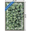 Trends International Cactus - Group Framed Wall Poster Prints - 3 of 4