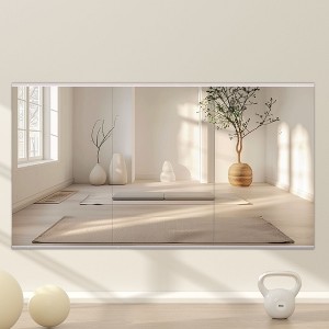 Apmir  2/3 pieces Rectangle Wall Mirror Home Gym Mirror Dance Studio Mirror Tempered Glass Mirror - 1 of 4