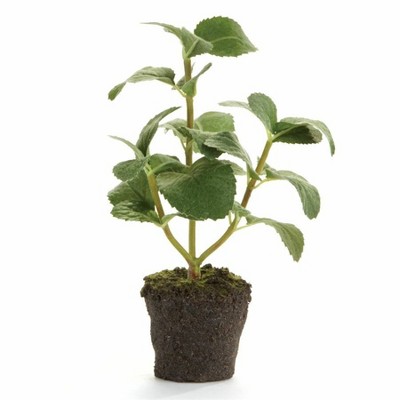 Plum & Post 8" Drop-in Realistic Decorative Indoor Artificial Mint Plant w/ Root Ball