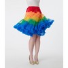 Unique Vintage Women's Ruffled Petticoat Crinoline Rainbow Stripe - 2 of 3