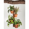 Kalmar Home Solid Acacia wood 4 Pot Hanging Plant Holder with chain - 3 of 3